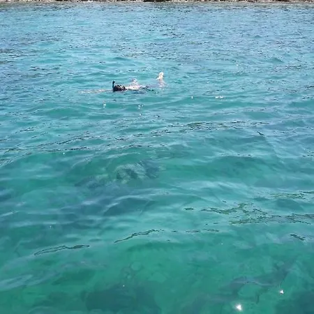 Roko, Hrvatska Apartment *