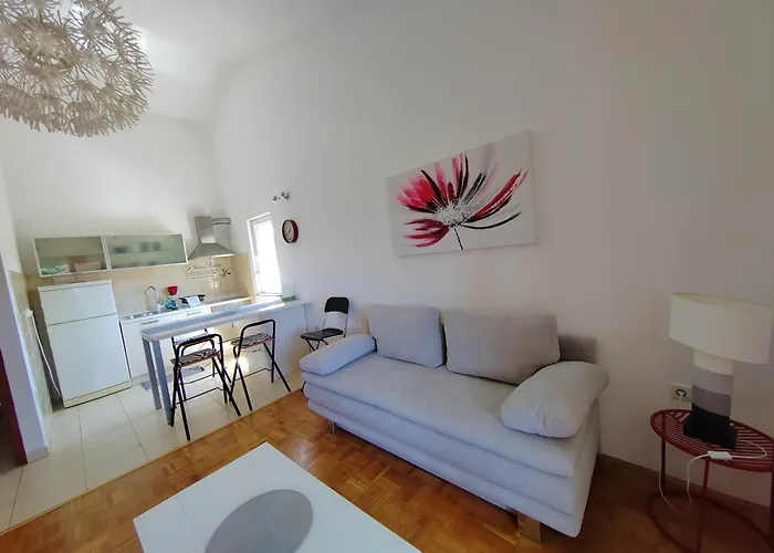 Apartment Roko Pula Pula