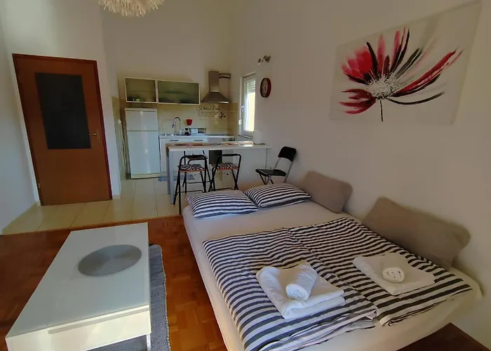 Apartment Roko Pula *