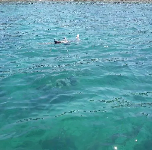 Apartment Roko Pula Daire *